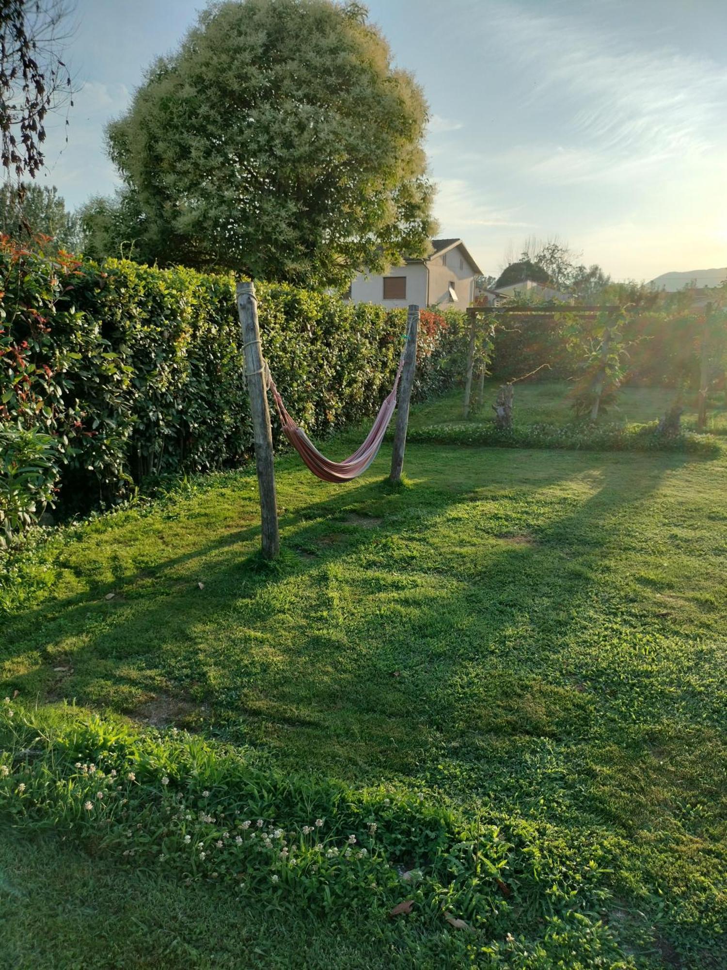 B&B La Rosa Nel Verde Lucca Luaran gambar